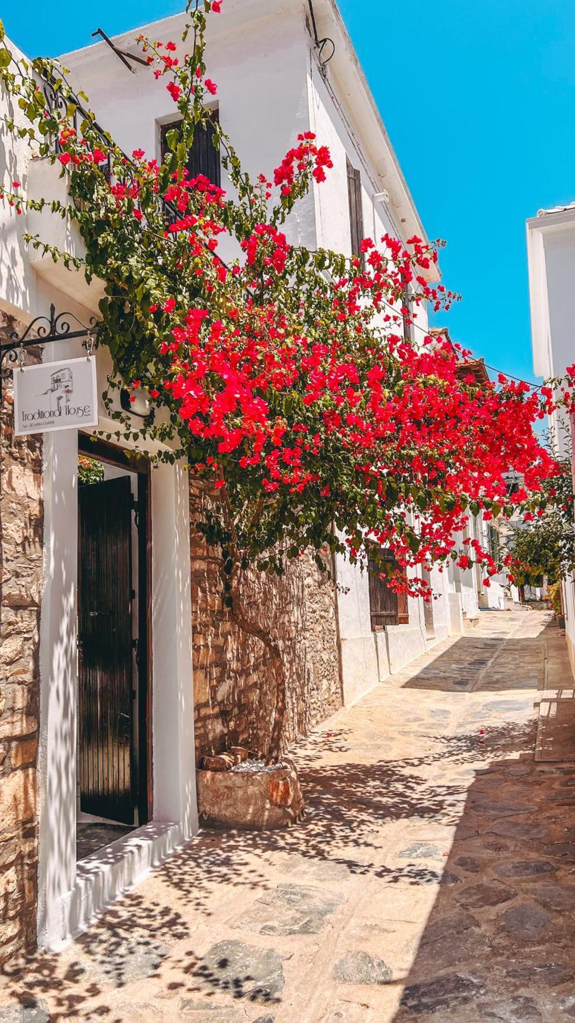 Traditional House سكوبيلوس تاون المظهر الخارجي الصورة